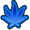 Cannabis