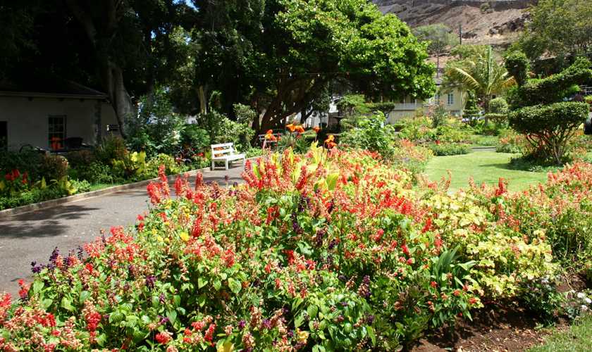 Relax in Castle Gardens