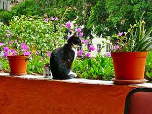 Sit and watch the world go by