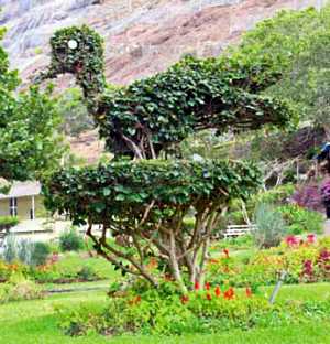 living sculpture