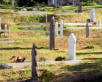 Churchyard