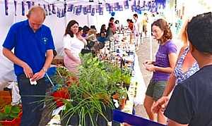 Cruise ship market