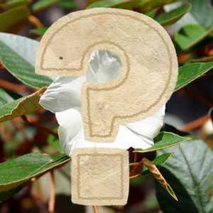 Frequently Asked Questions