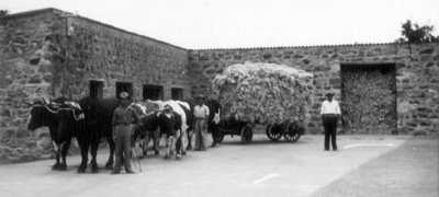 Jamestown flax mill, 1870s