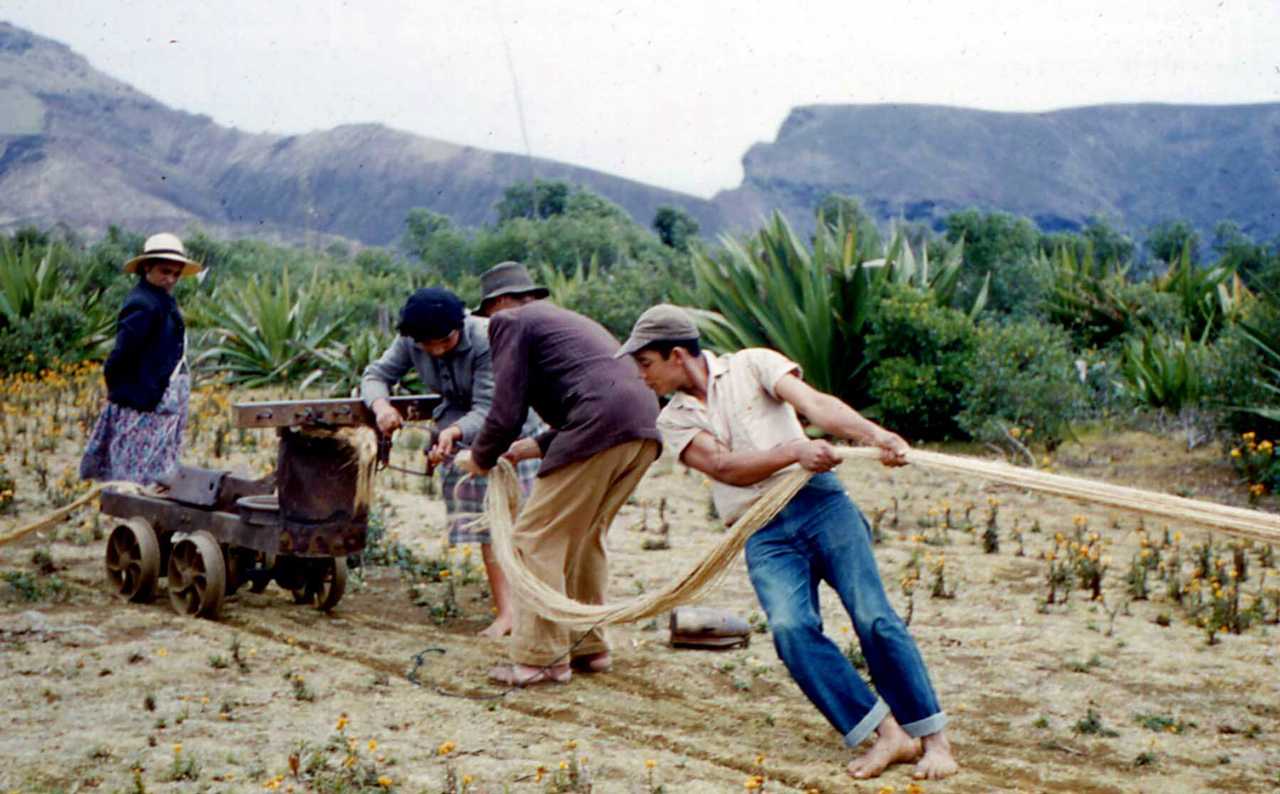 Flax rope making, 1962