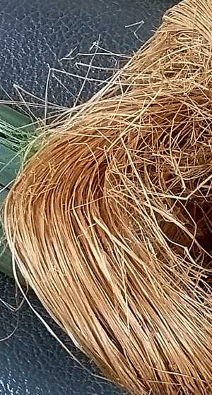 Actual processed flax