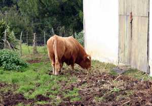 Current resident at Woody Ridge Mill