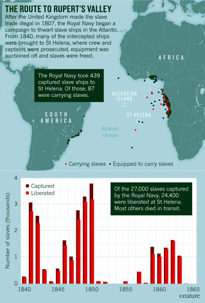 Genomes trace diagram