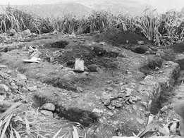 Halleys Mount being excavated, 1968