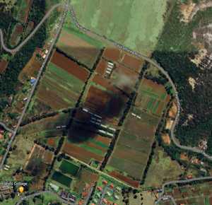 Longwood Soil