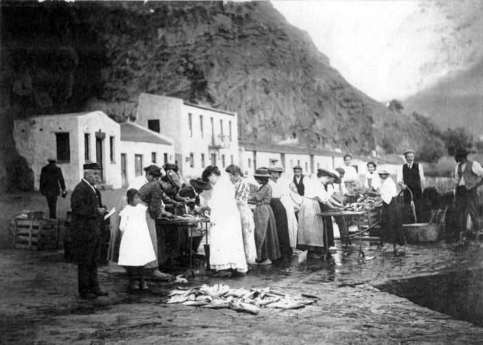 Mackerel processing on The Wharf, 1910