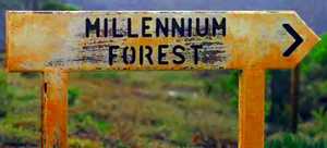 Millennium Forest sign