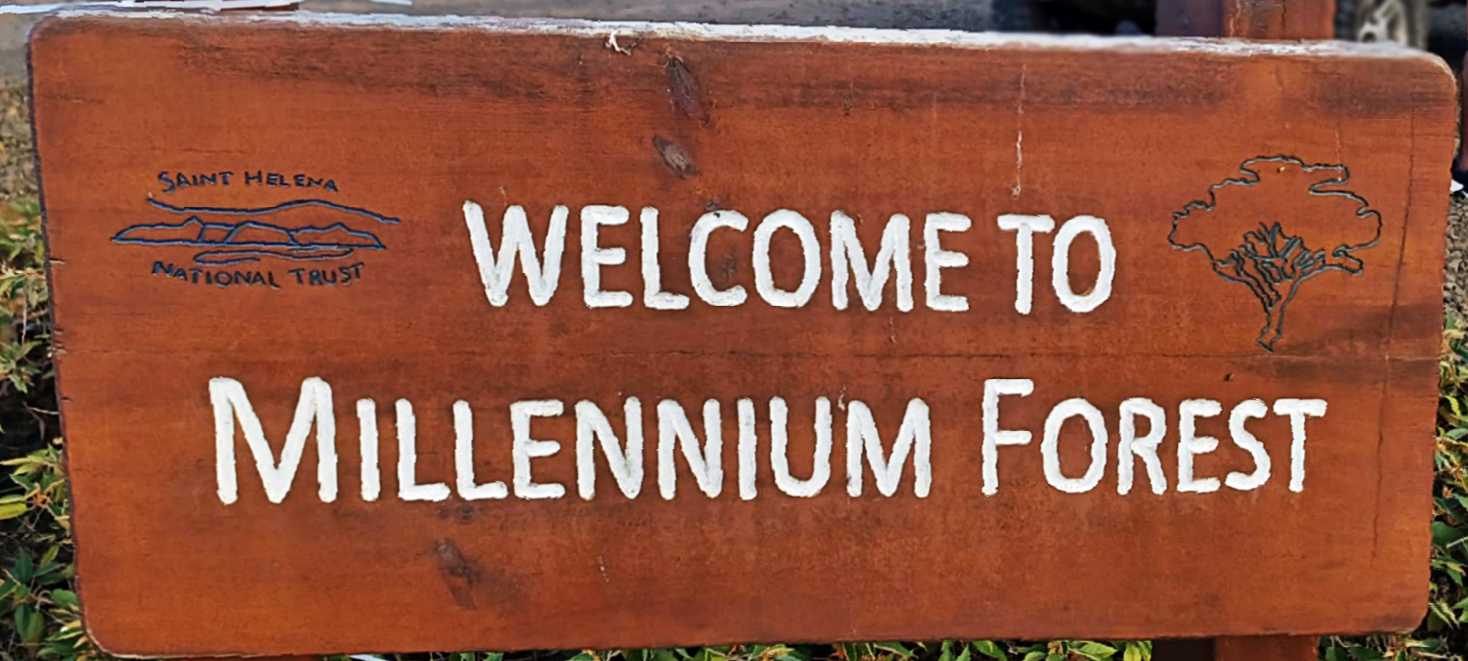 Welcome to (the) Millennium Forest sign