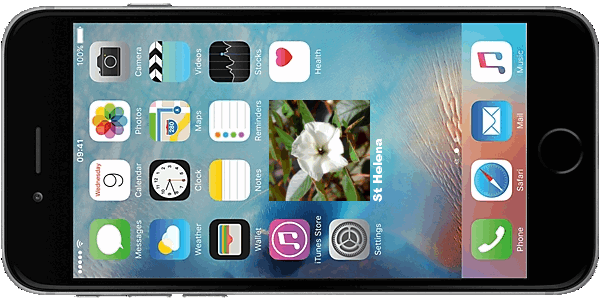 Mobile Phone