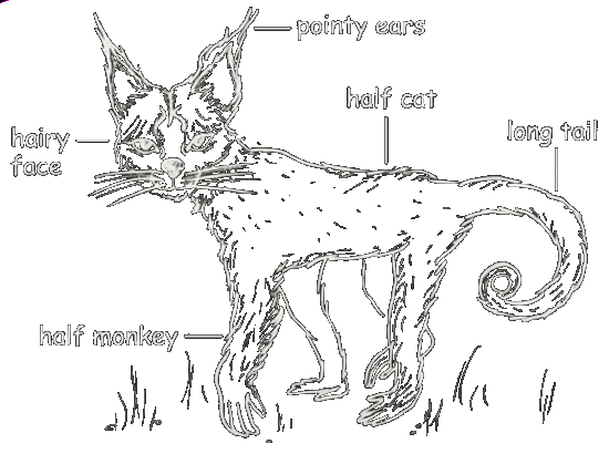 Moncat identikit!