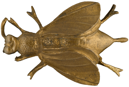 Napoleons Bee