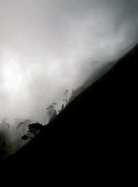 Mount Pleasant and the cloud forest