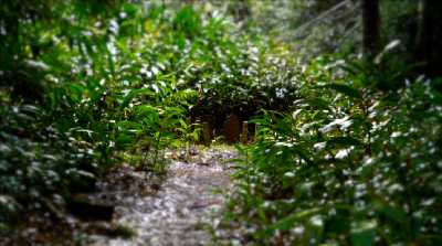 Butchers Grave on the grounds of Plantation House