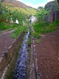 The Run in upper Jamestown