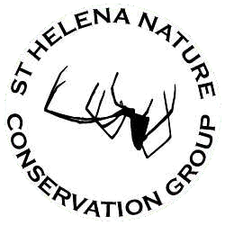 SNCG logo