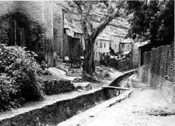 The Run in 1968