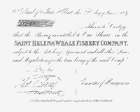 Whale fishery share certificate 1837