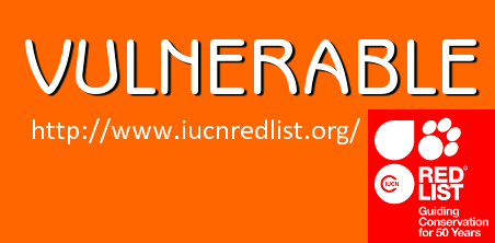 IUCN: Vulnerable