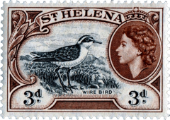 Wirebird stamp